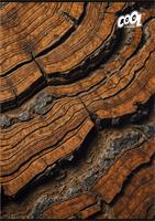 Füzet, tűzött, A4, kockás, 80 lap, COOL BY VICTORIA 